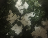Foto del paso 7 de la receta: Guiso de Acelga con Papas Doradas