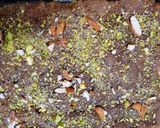 A picture of step 6 of Aflatoon Mithai.
