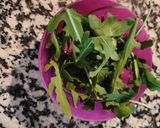 Foto del paso 8 de la receta Ensalada de frutas