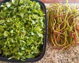 Foto del paso 1 de la receta: Encurtido de verdolaga