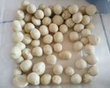 Foto langkah ke 2 dari resep Cilok Bumbu Kacang (instan).