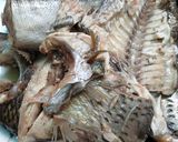 รูปขั้นตอนการทำที่ 1 ของ น้ำยากะทิ(สูตรโบราณ)กับเส้นสปาเก็ตตี้
