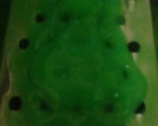 Cendol Agar Swallow - Step 3