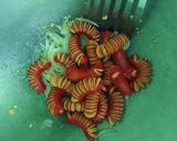 Foto langkah ke 5 dari resep Sosis Caterpillar Asam Manis 🐛.