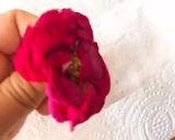 Hình bước làm 3 của món 🌱 Trà Hoa Hồng Khô Từ Hoa Hồng Tươi Trong 2 Phút