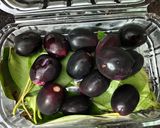 जामुन शॉट्स (Jamun shots) रेसिपी चरण 1 फोटो