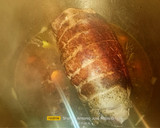 Foto del paso 4 de la receta: Jarrete en salsa