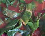 A picture of step 5 of Spring greens and red bean stew.