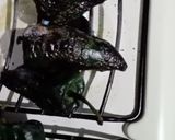 Foto del paso 2 de la receta: Rollo de chile poblano hojaldrado
