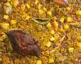 Foto del paso 10 de la receta: Paella de cangrejo azul y potón