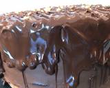 Chocolate Illusion Cake recipe step 9 photo