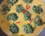 Foto langkah ke 8 dari resep Buntil daun singkong isi ikan asap.