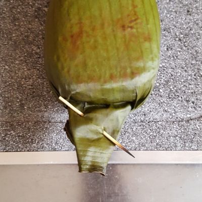 Langkah 8