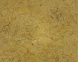 Foto del paso 4 de la receta: Humitas