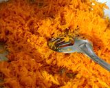 A picture of step 1 of Gajar ka Halwa/carrot Halwa.
