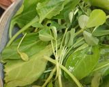 A picture of step 1 of Palak Paratha.
