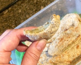 Foto del paso 3 de la receta: Berenjenas a la napolitana