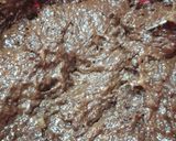 Foto langkah ke 3 dari resep Muffin Pisang Coklat.