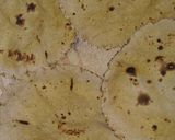 A picture of step 5 of Makai (Corn) Na Rotla.