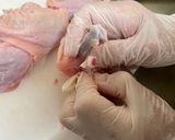A picture of step 2 of Japanese Chicken Wings Karaage.