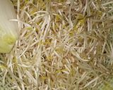 Hình bước làm 1 của món Bánh xèo nấm trứng