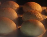 Foto langkah ke 12 dari resep Roti Jabrig Isi Keju Dan Cokelat: Lembut Dan Anti Kempes.