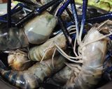 Foto langkah ke 1 dari resep Tumis Udang Galah Bumbu Pedas.