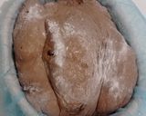 Foto langkah ke 16 dari resep Double Chocolate Sourdough Bread (76%).