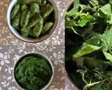 3- Minute Nettle & Walnut Pesto #vegan recipe step 4 photo