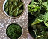 A picture of step 4 of 3- Minute Nettle & Walnut Pesto #vegan #paleo.