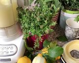 Une image de l'étape 4 de Virgin Mojito citron menthe fraiche.