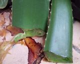Foto langkah ke 1 dari resep Cendol thailand aloe vera.
