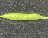 A picture of step 2 of Olive leaves pasta in white sauce.