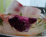 આઈસ ક્યૂબ વીથ આઈસ બાઉલ(ice cube with Ice bowl in Gujarati recipe) રેસીપી સ્ટેપ3ફોટો