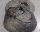 Foto langkah ke 18 dari resep Yin Yang Sourdough Bread (92% - Oven Tangkring).