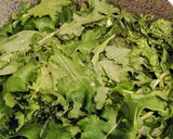 Foto del passaggio 1 della ricetta Torta salata alle cime di rapa