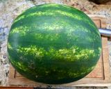 A picture of step 2 of Watermelon and Rosemary Lemonade - Aguas Frescas!.