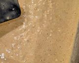 Foto del paso 5 de la receta Avena Horneada con Frutos Rojos