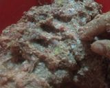 Foto del paso 2 de la receta: Hamburguesa para el asador deliciosas