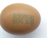 Foto del passaggio 11 della ricetta Uova: come conservare, come pulire, lettura tracciabilità su guscio e altri consigli