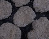 Foto del paso 6 de la receta: Milanesas de lentejas