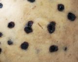 A picture of step 9 of Eggless Nendran banana cake.