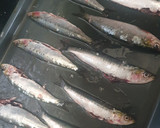 Foto del paso 1 de la receta: Sardinas al horno con ajo y perejil