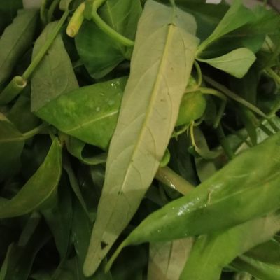 Langkah 1