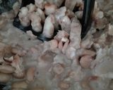 Foto del paso 3 de la receta: Desayuno Mexicano, Molletes