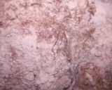 Foto del paso 2 de la receta: Torta brownie