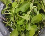 A picture of step 1 of Mustard leaves in Garlic sauce.