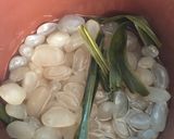 Foto langkah ke 3 dari resep Rujak aceh versi2.