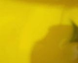 A picture of step 3 of Mango Custard.
