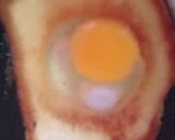 Foto del paso 2 de la receta: Huevos en canasta o en chancleta